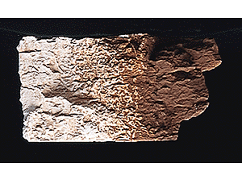 A Earth Colors Liquid Pigment(TM) - 4 Ounce Bottle -- Burnt Umber