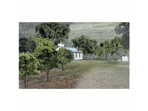 A Mixed Greed Deciduous Tree Pack - Ready Made Trees(TM) -- 3/4 - 2" 1.8-5cm pkg(38)