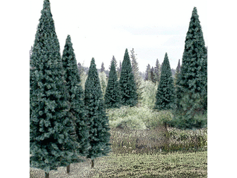A Blue Spruce Tree Value Pack - Ready Made Trees(TM) -- 4-6" 10-15cm pkg(13)