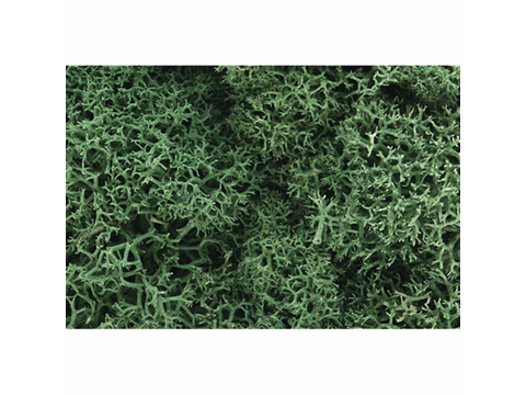 A Lichen -- Light Green
