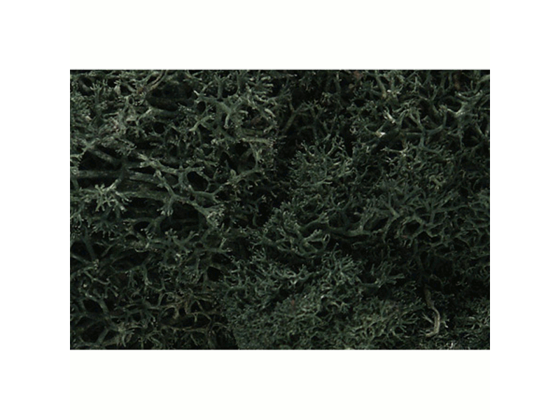 785-164 A Lichen -- Dark Green