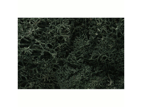 A Lichen -- Dark Green