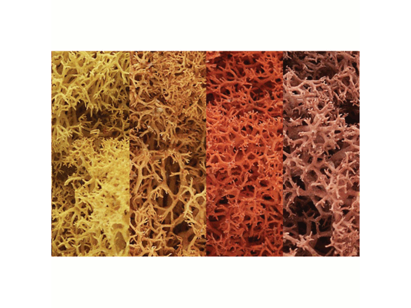 785-165 A Lichen -- Autumn Mix 1-1/2 Quarts