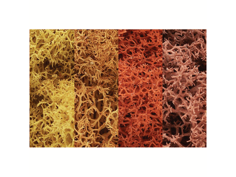 A Lichen -- Autumn Mix 1-1/2 Quarts