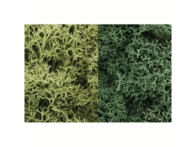 785-167 A Lichen 3 Quarts -- Light Green Mix