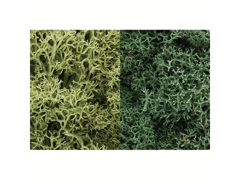A Lichen 3 Quarts -- Light Green Mix
