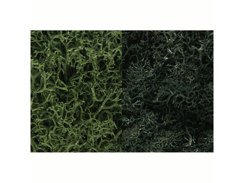 785-168 A Lichen - 3 Quarts -- Dark Green Mix