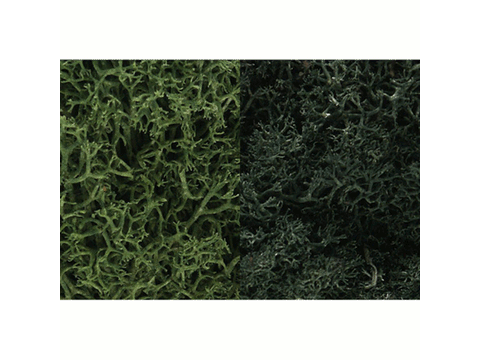 A Lichen - 3 Quarts -- Dark Green Mix