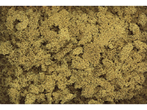 A Extra Coarse Turf -- Yellow Grass