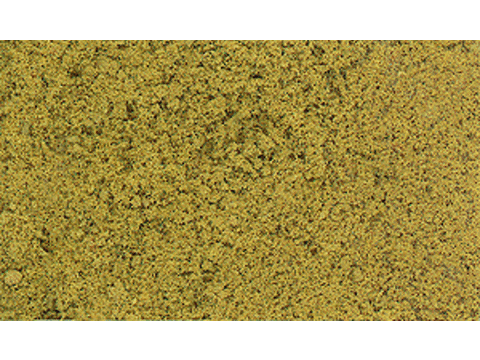 A Foliage -- Early Fall Colors