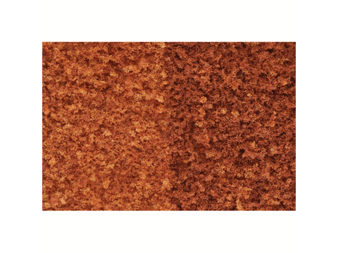 A Foliage -- Late Fall Colors