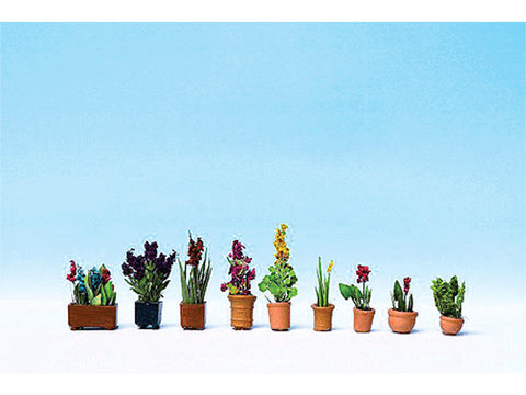 Potted Ornamental Plants - Botanicals(TM) -- pkg(9)
